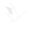 Cranes Media – Graphic and Web Design Hong Kong