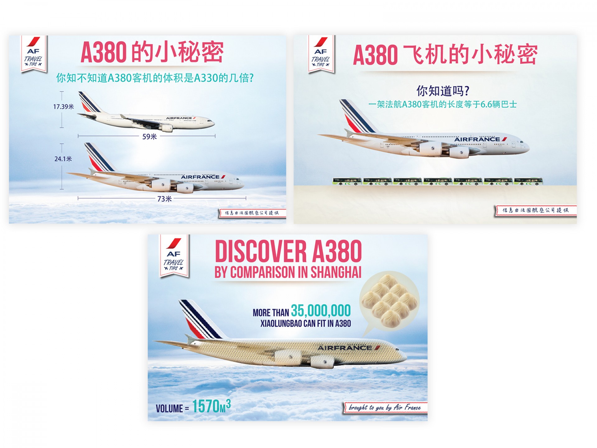 AirFrance infographic design