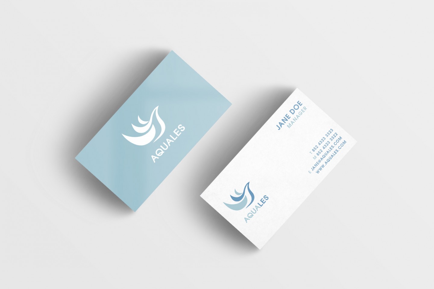 Aquales Logo and Business card Design