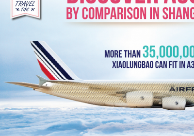 AirFrance infographic design