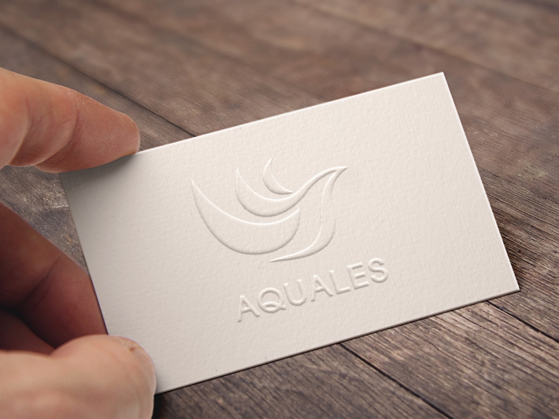 Aquales Logo Design