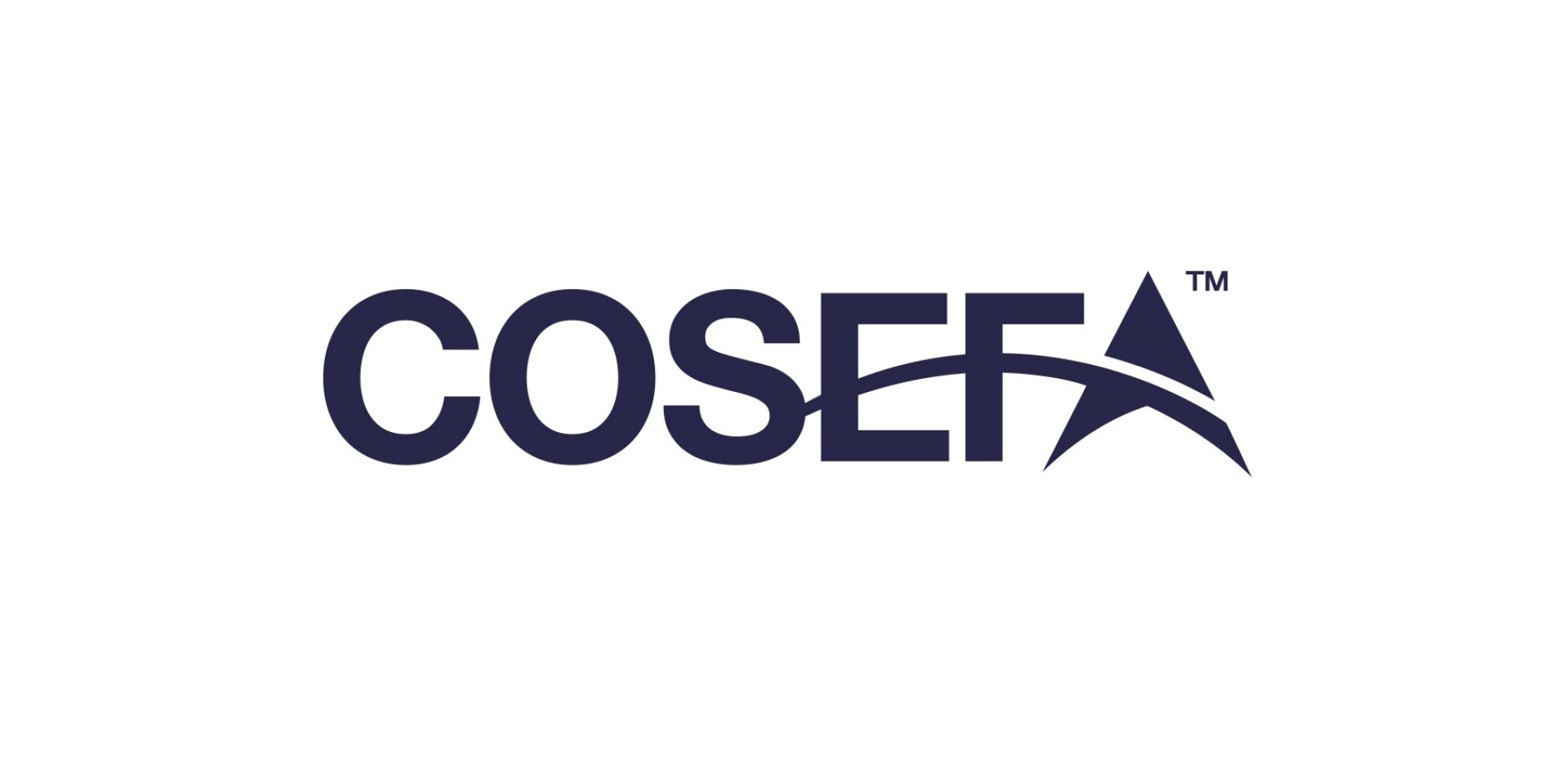 COSEFA logo and stationary design