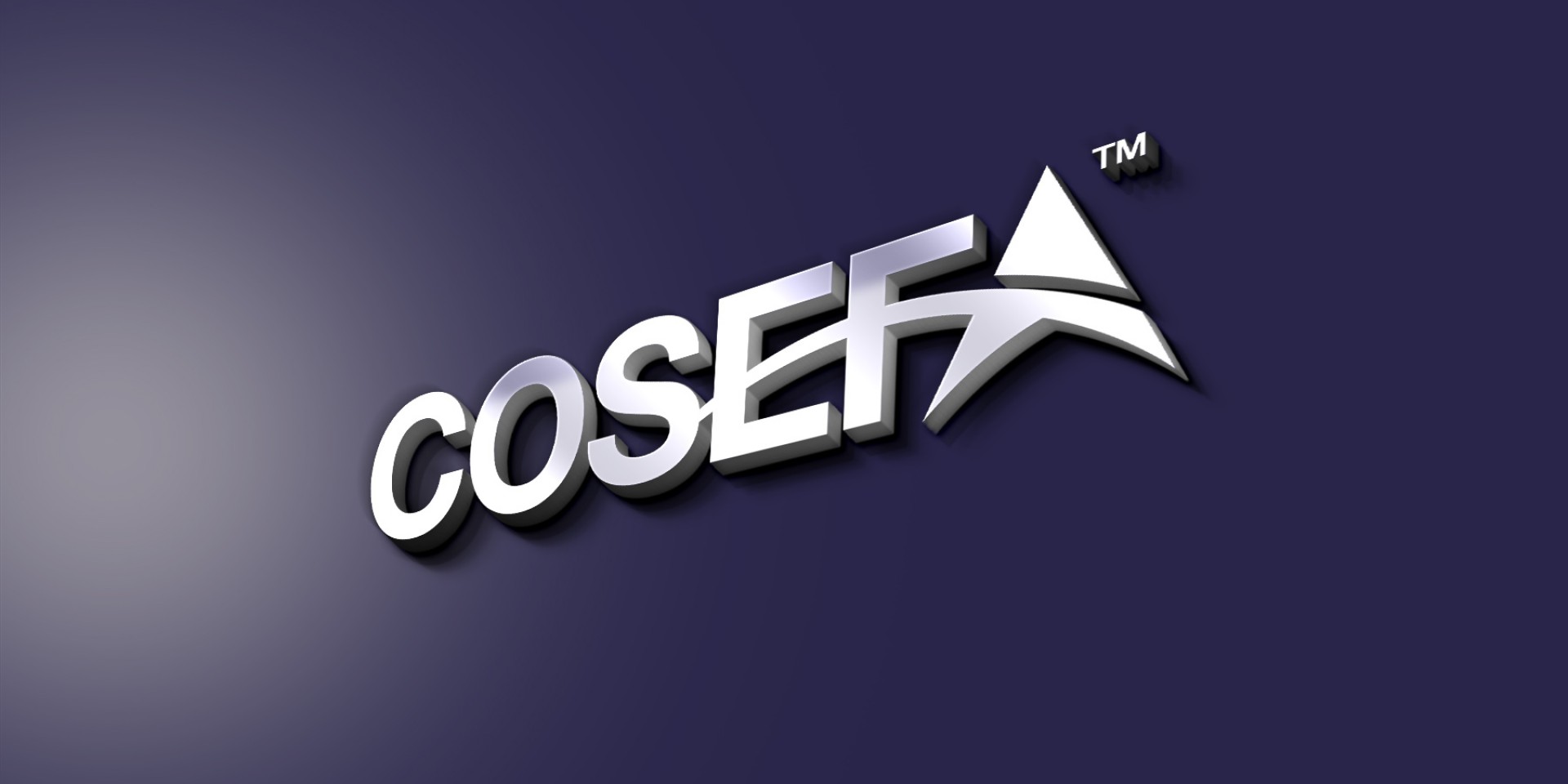 COSEFA logo and stationary design