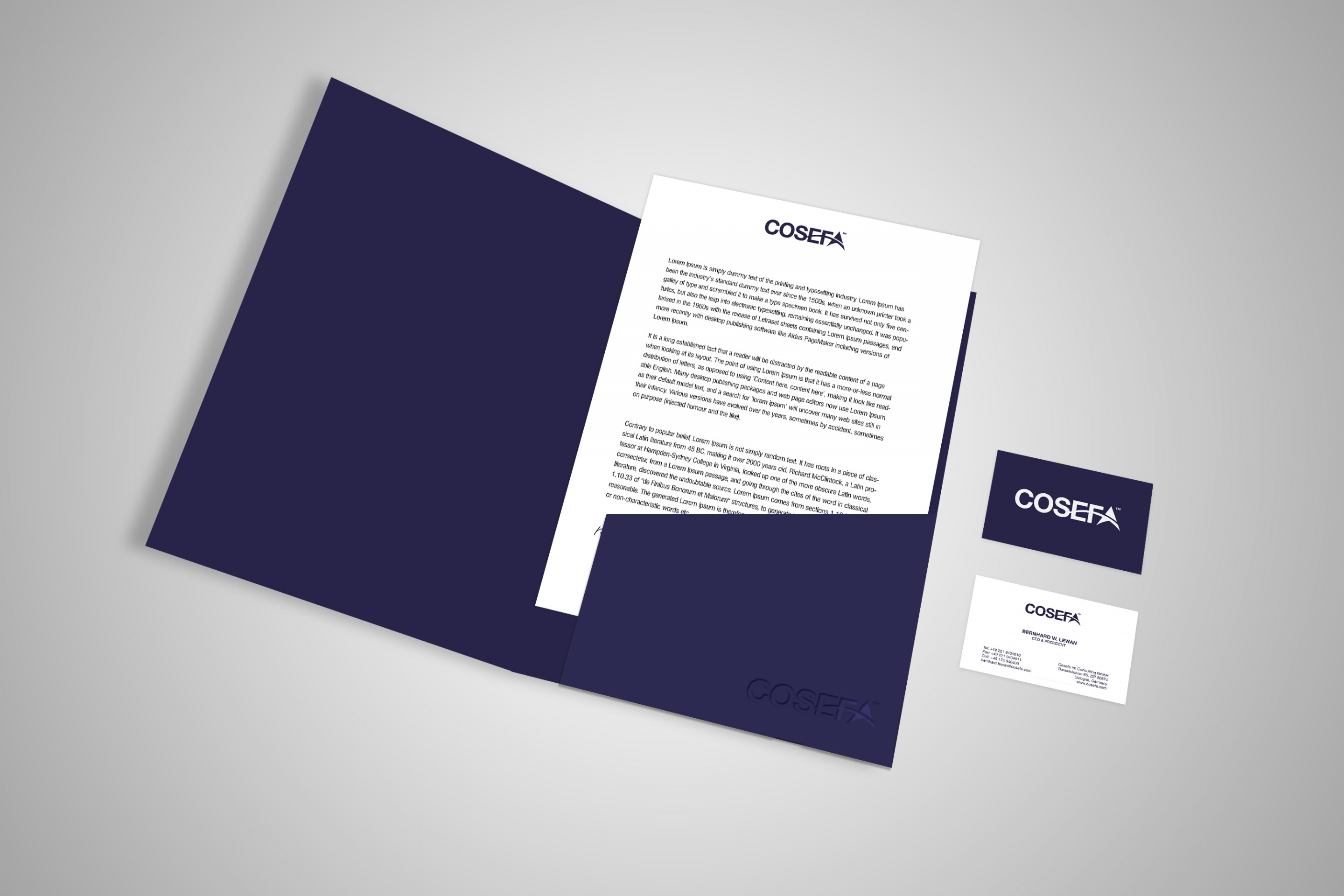 COSEFA logo and stationary design