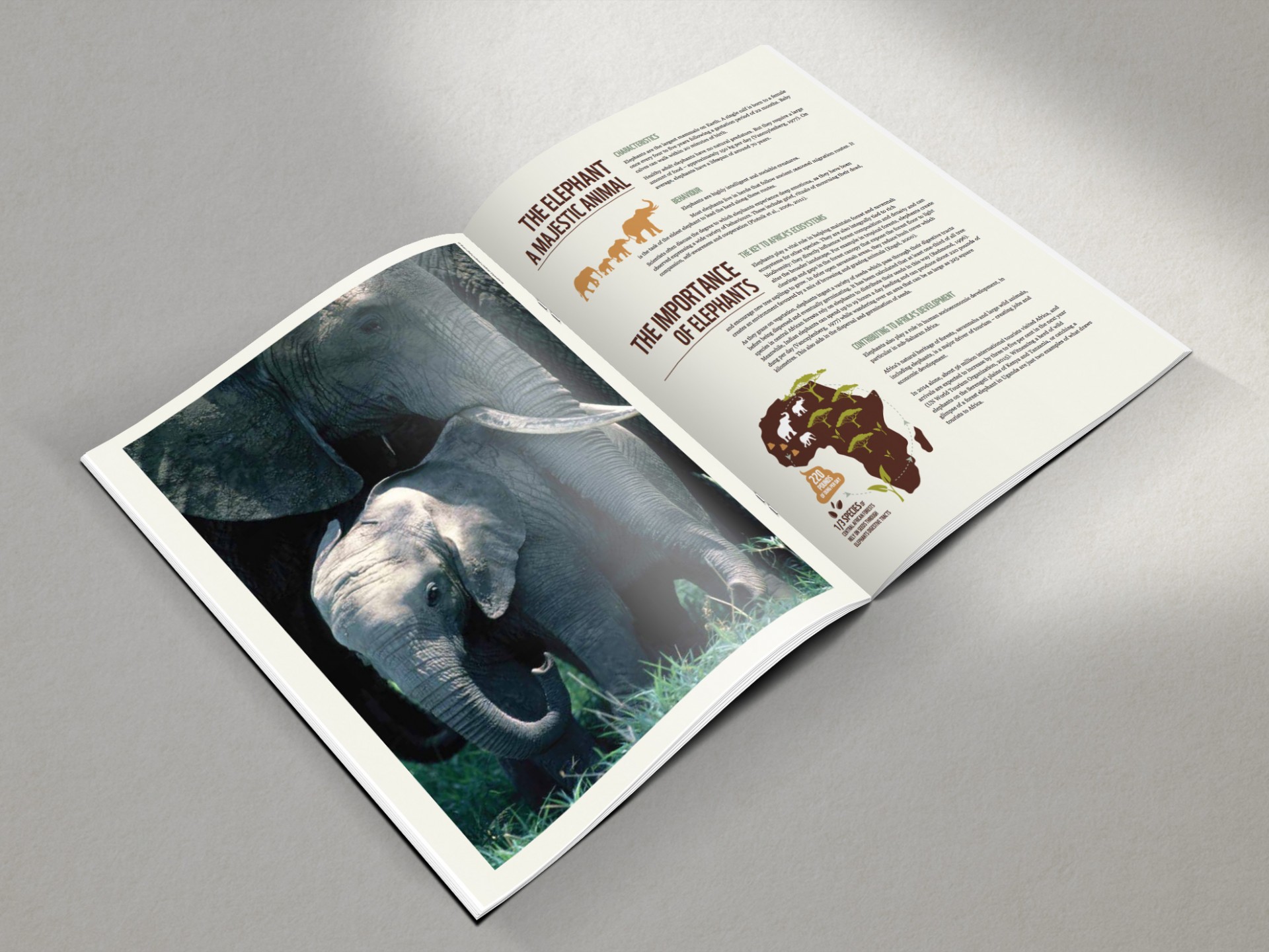 WWF - The Hard Truth report and infographic design