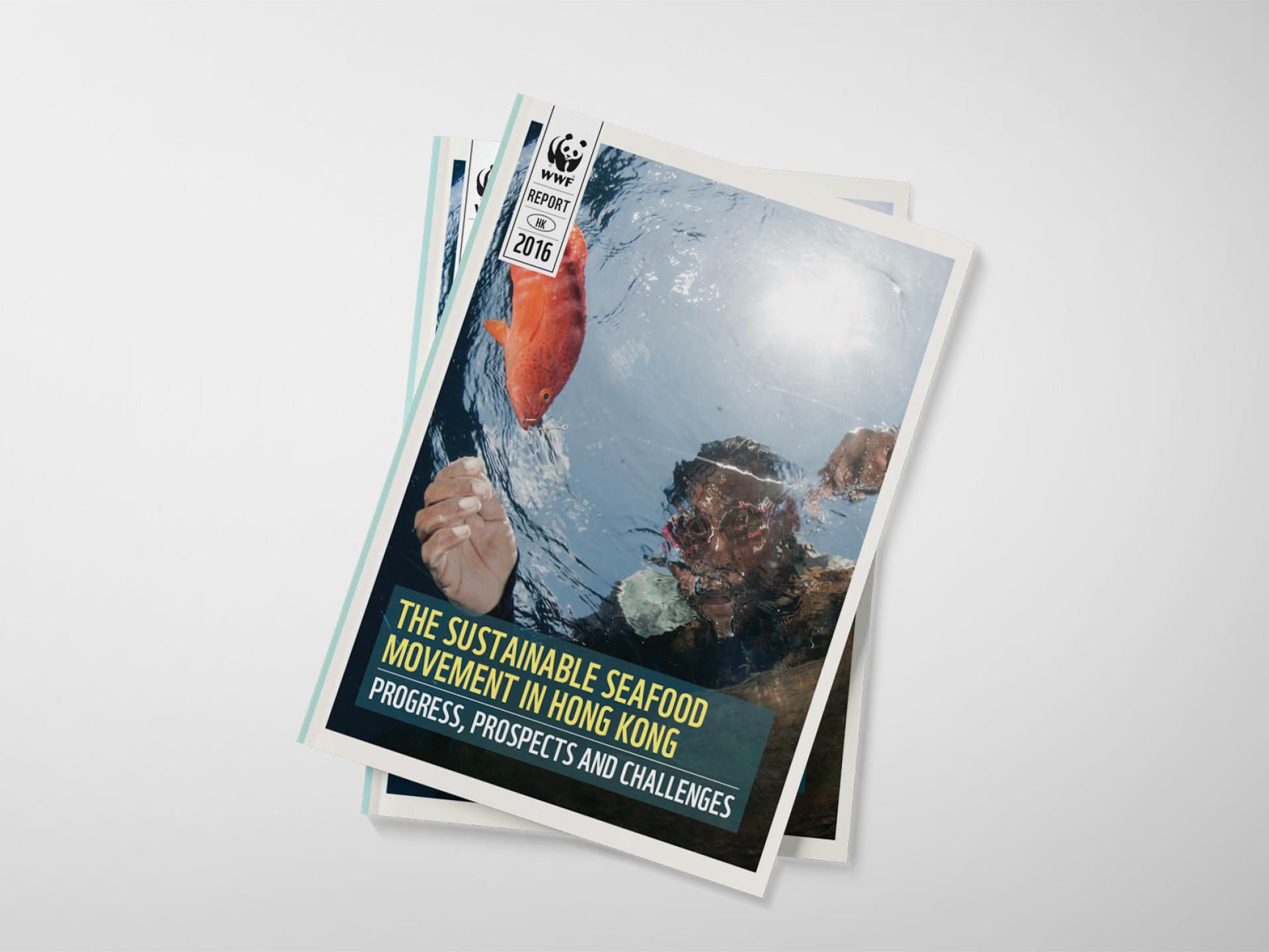 WWF - The Sustainable Seafood Movement in Hong Kong Report Design