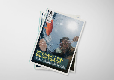 WWF - The Sustainable Seafood Movement in Hong Kong Report Design