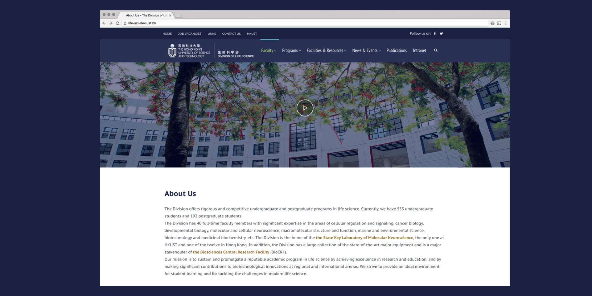 Responsive website design and development Hong Kong